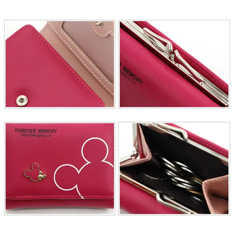 Portafoglio Disney